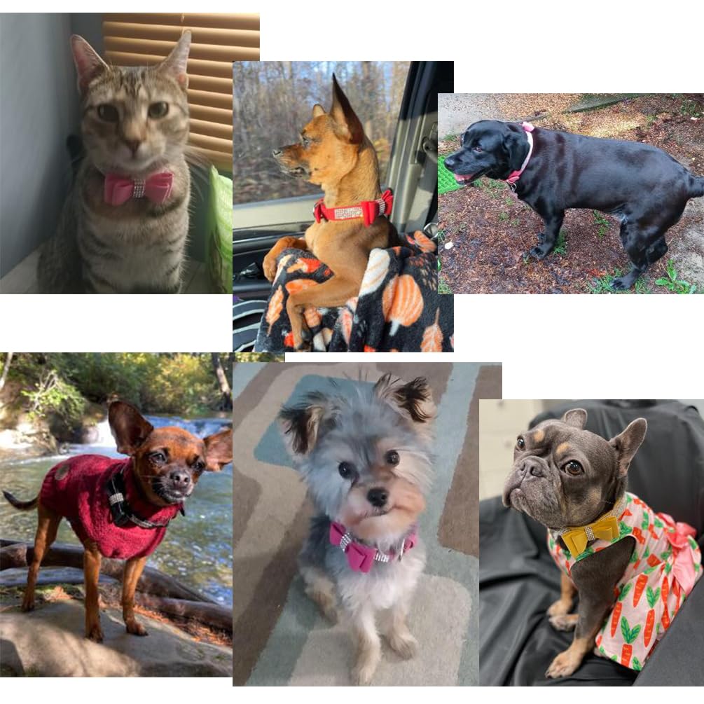 YOUALSO soft suede dog collar, breathable comfort for daily wear.