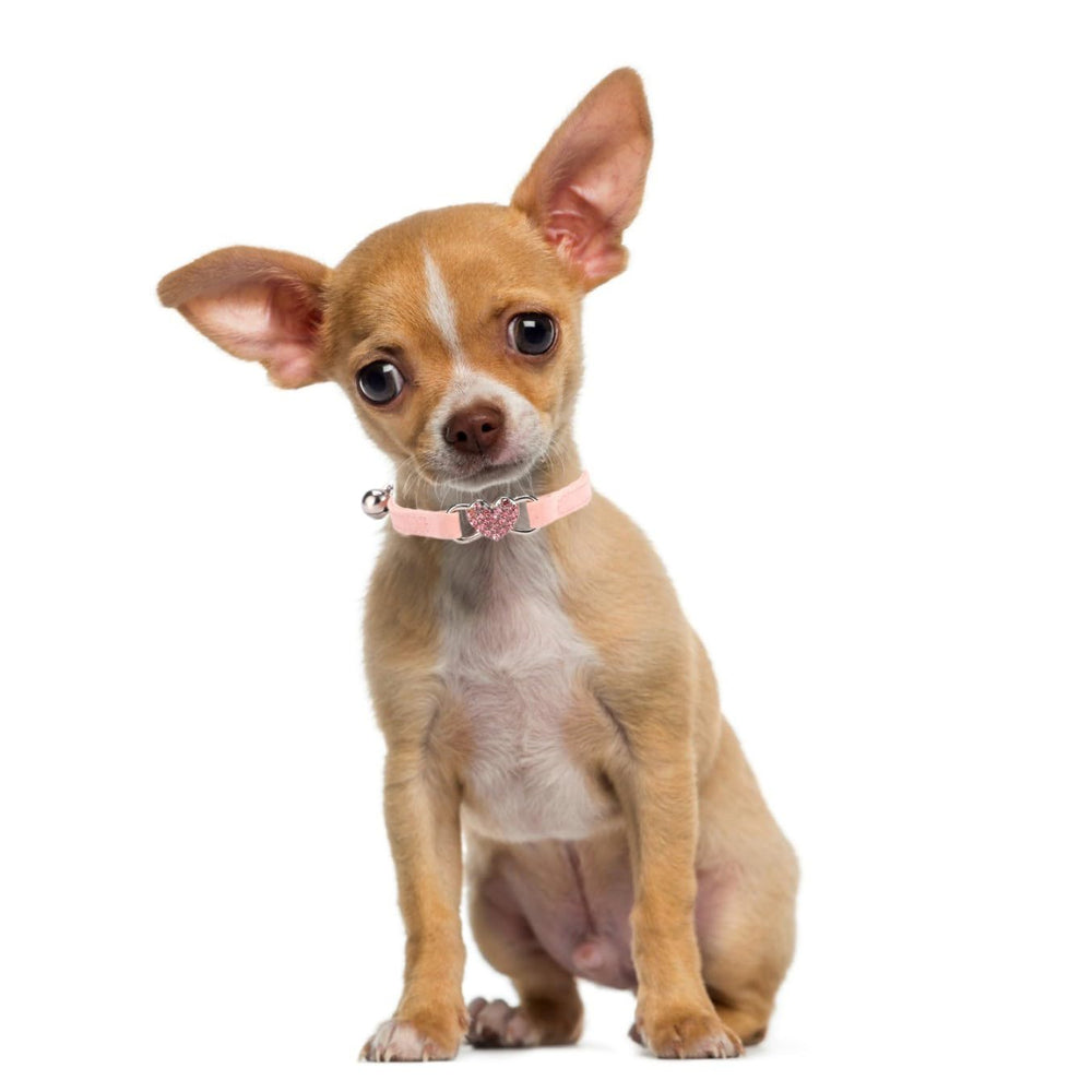 YOUALSO soft velvet dog and cat collar offers breathable, gentle comfort for small pets.