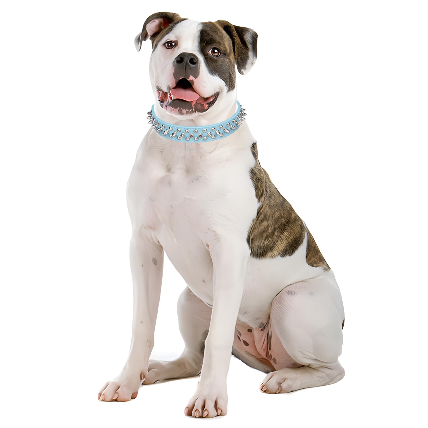 YOUALSO spiked collar XS label indicates size versatility for small pets