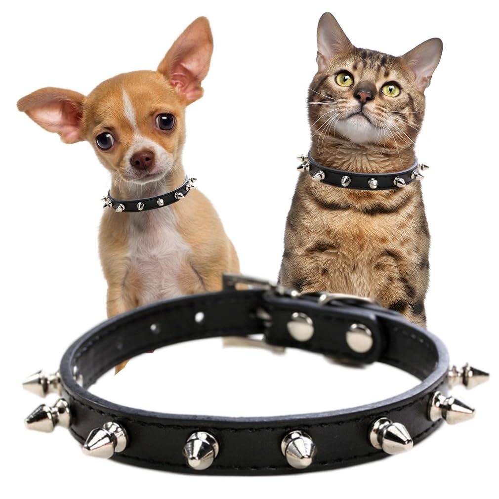 YOUALSO spiked dog collar XS neck-strap offers comfortable daily wear for small breeds.