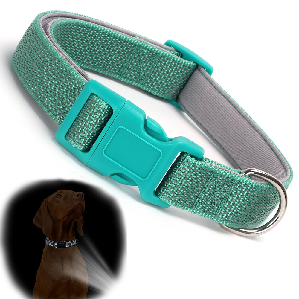 YOUALSO teal reflective dog collar XS closeup shows durable stitching for small dogs.