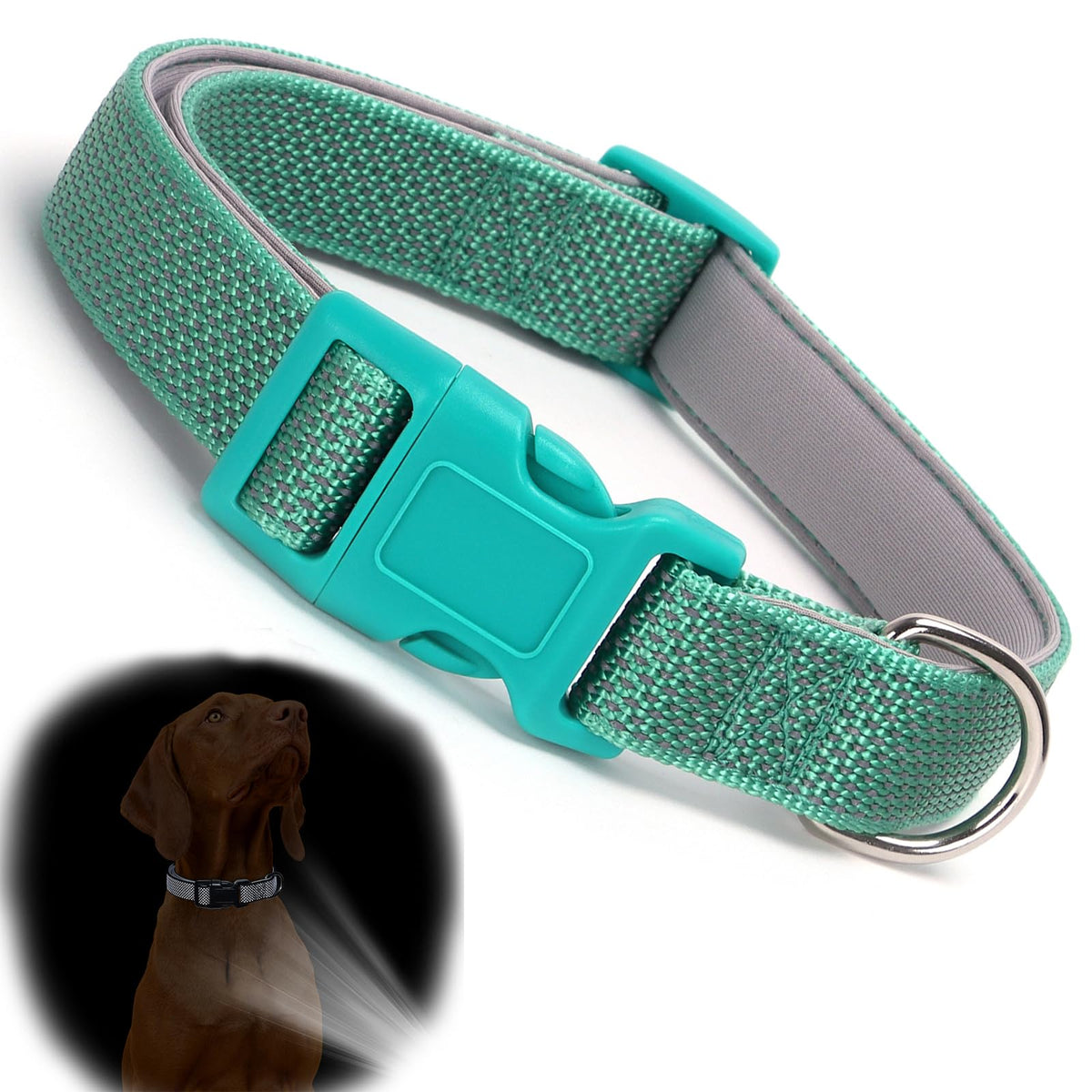 YOUALSO teal reflective dog collar XS closeup shows durable stitching for small dogs.
