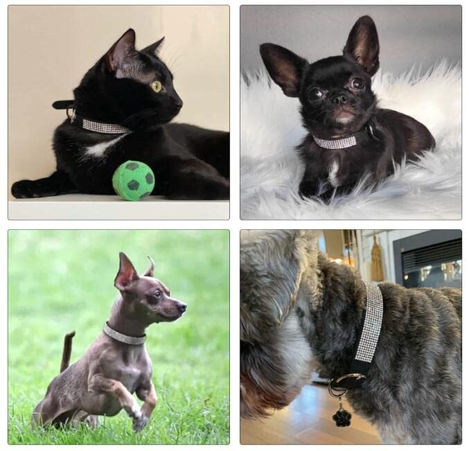 YOUALSO XS dog collar rhinestones closeup highlights crystal shine for events and daily wear