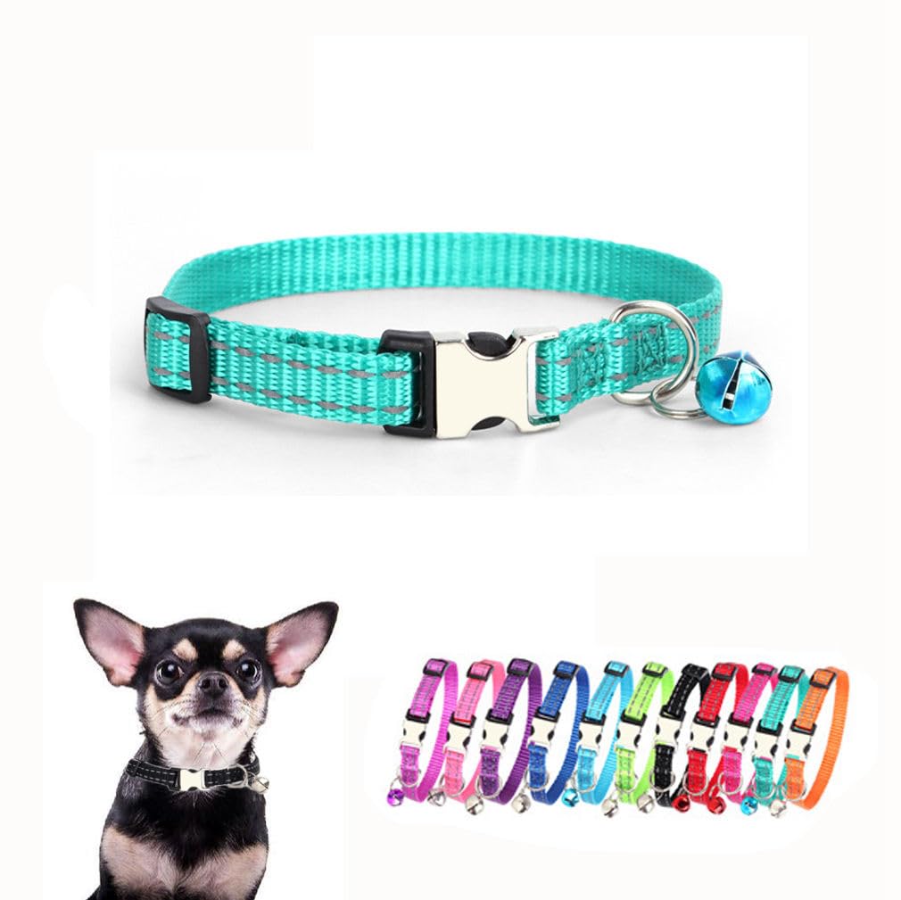 YOUALSO XXS teal dog collar with bell for tiny pets, bright and visible
