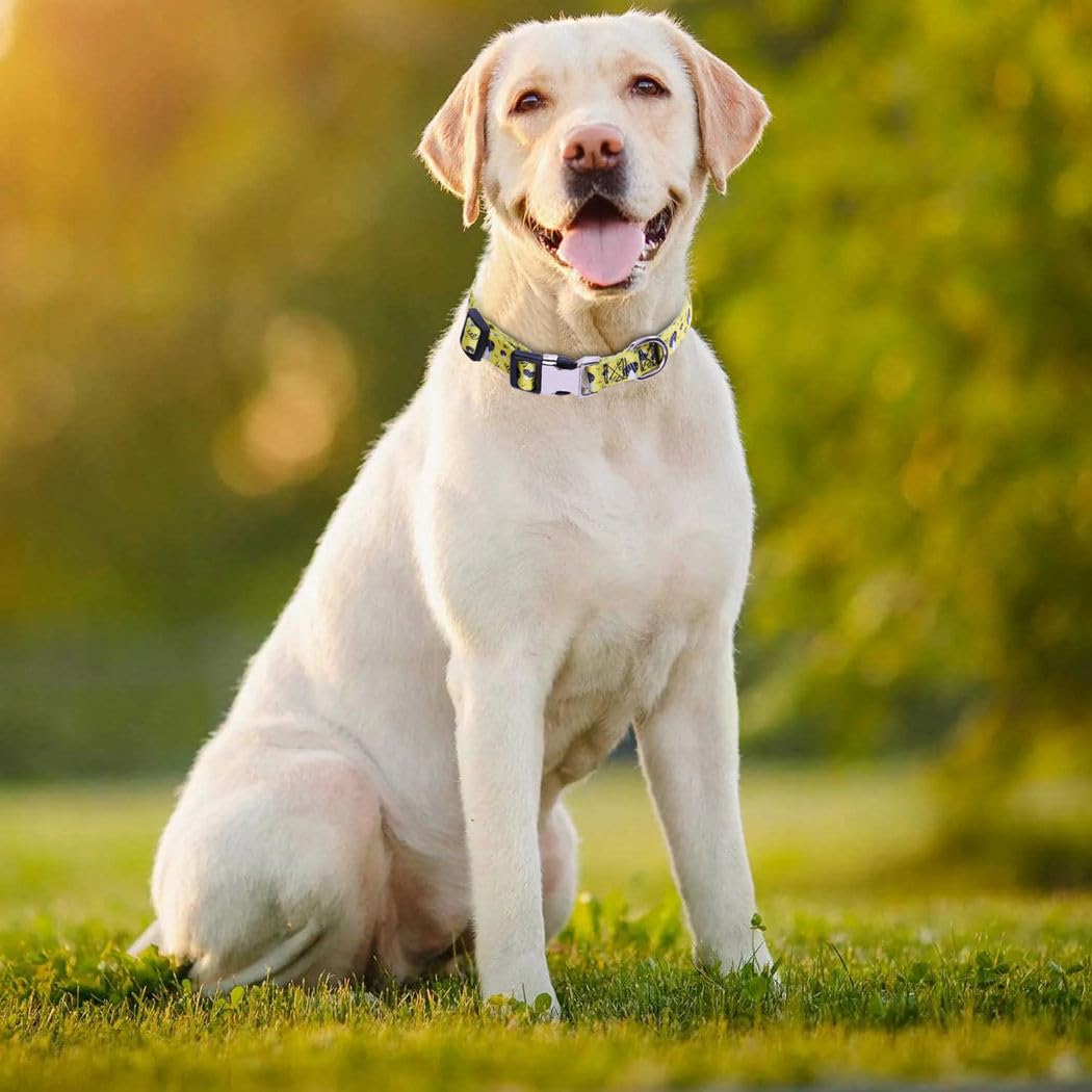 YOUALSO Yellow Dog Collar metal buckle secure daily wear for adventures.