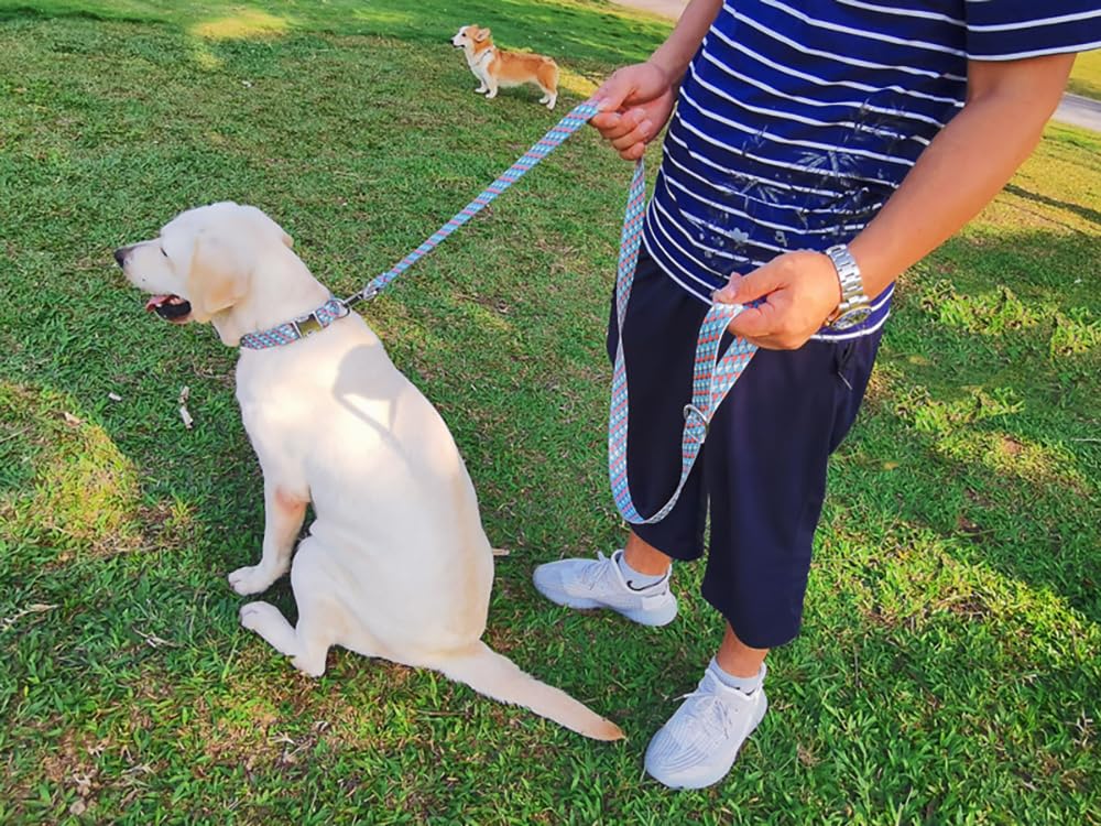 YOUALSO Yellow Dog Collar soft high-density nylon comfortable all day.