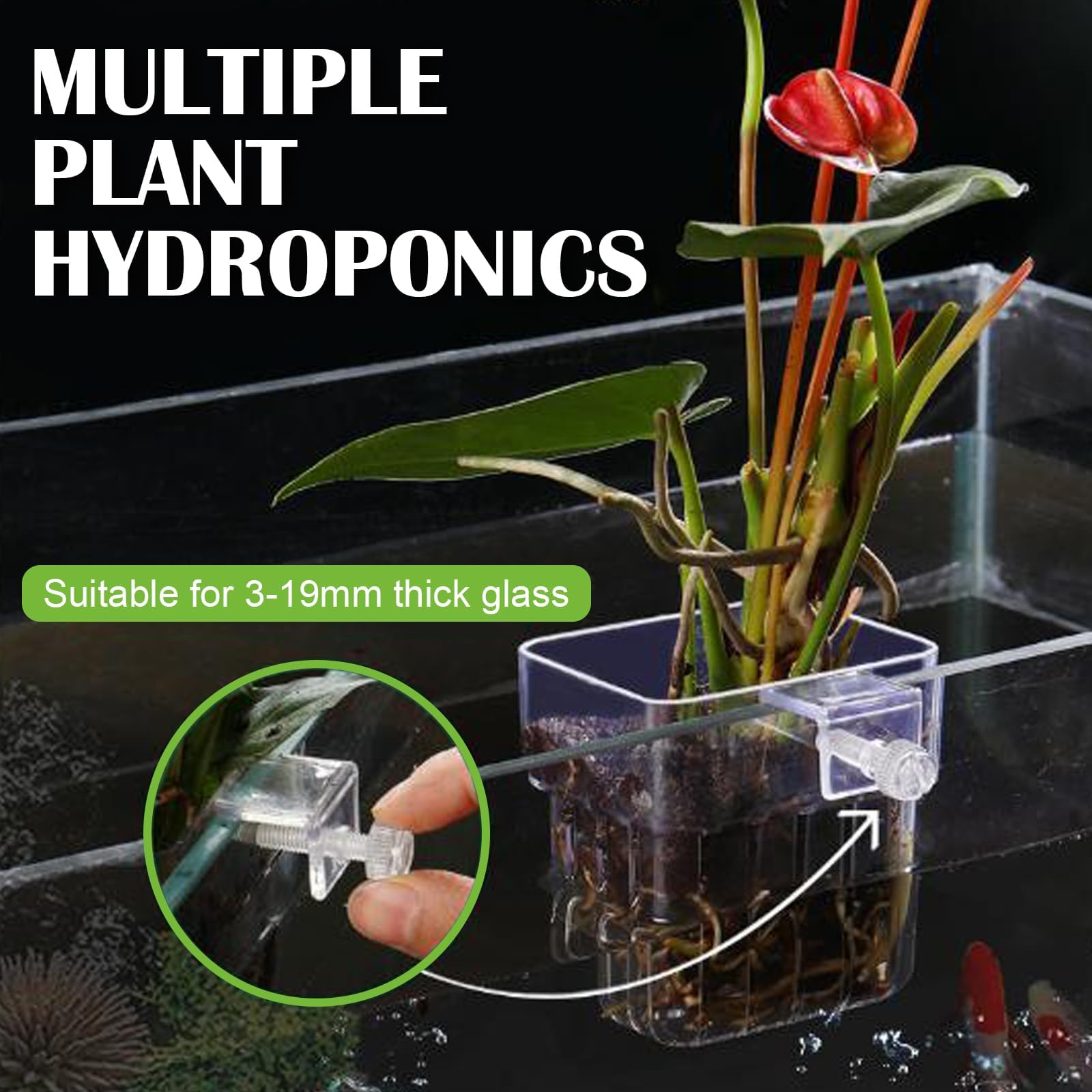 Youdaju ABS material plant holder safe for fish and plants