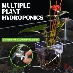 Youdaju ABS material plant holder safe for fish and plants