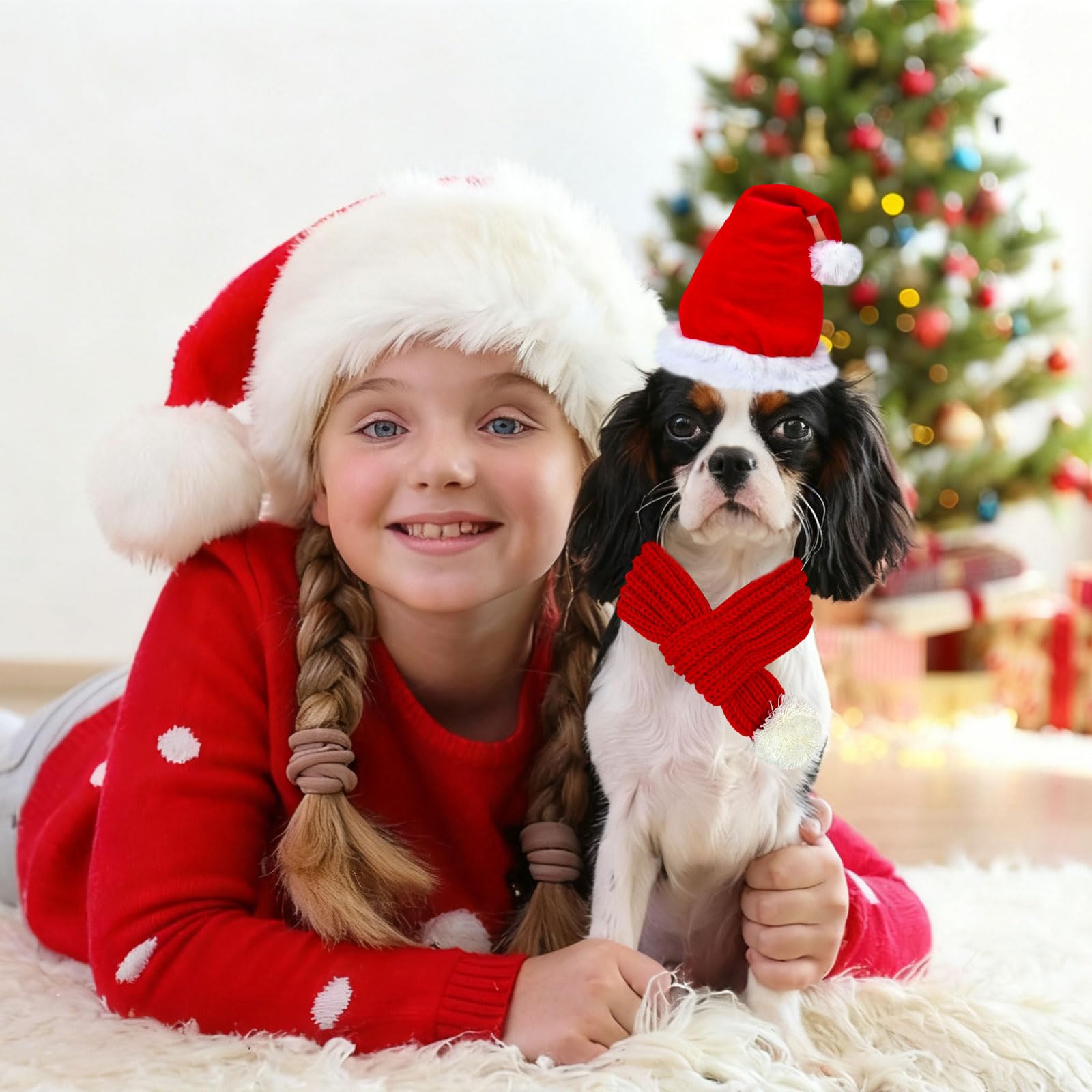 YOUDRN dog Christmas photo shoot with festive outfit and hat.