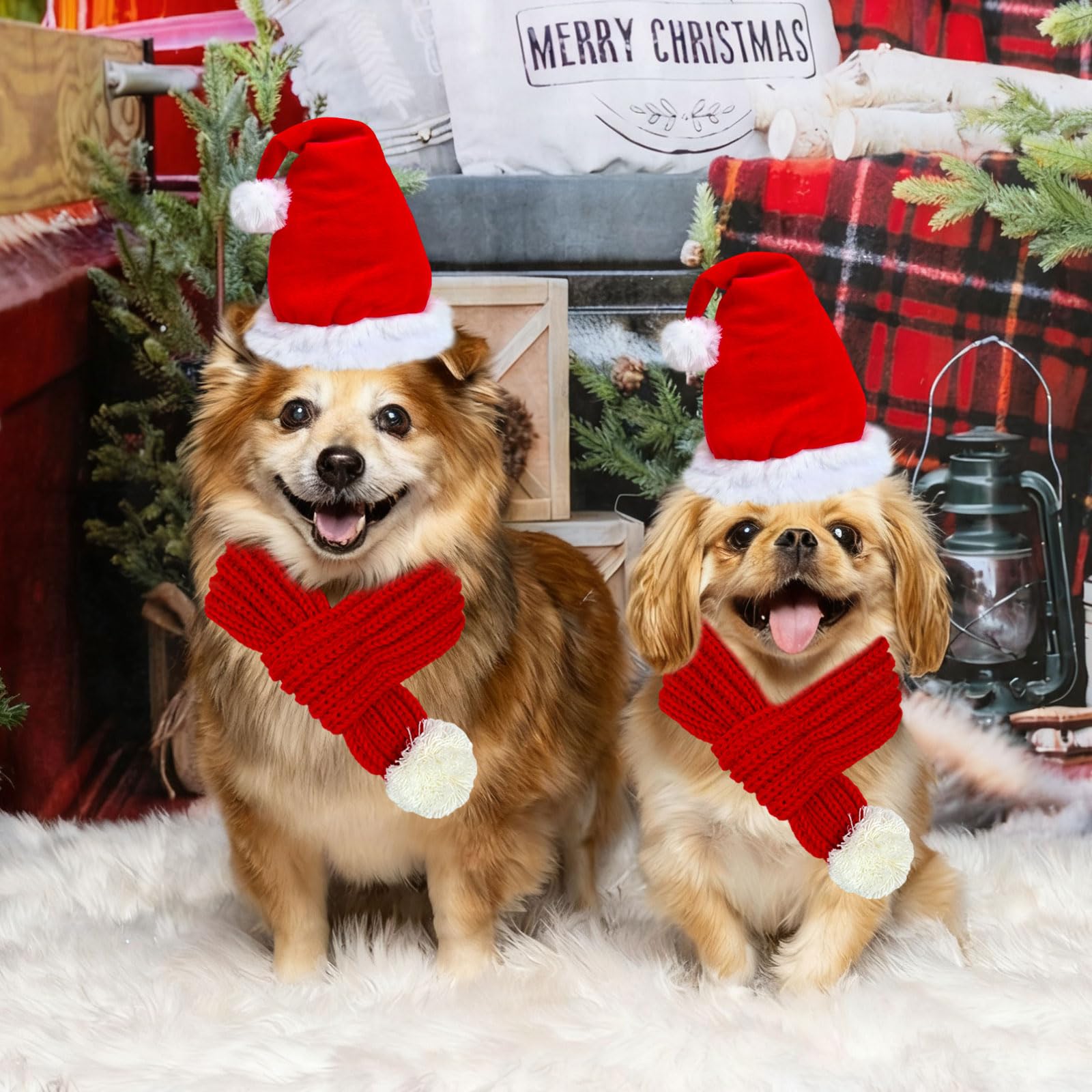 YOUDRN large dog Christmas hat shown on XL breed for head circumference up to 24 inches.
