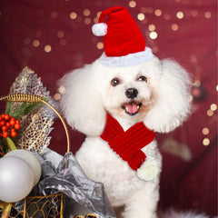 YOUDRN winter headgear set keeps a dog warm during outdoor walks.