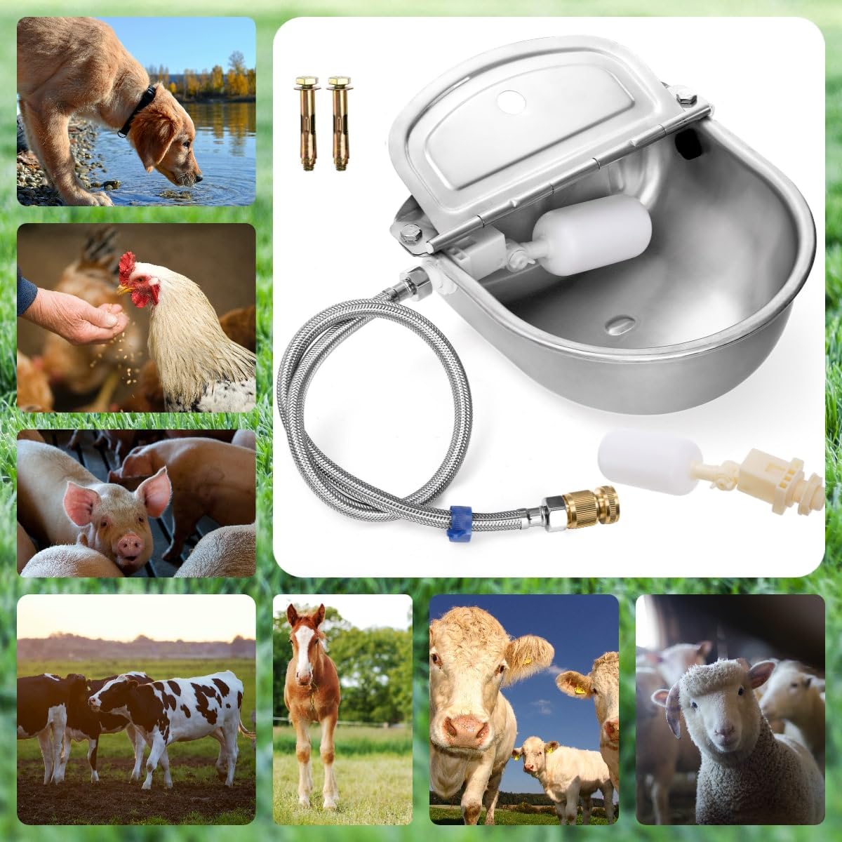 YOUEON outdoor waterer in use keeps animals hydrated.