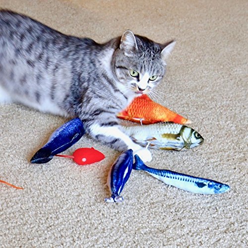 Youngever cat toys assortment in a playtime setup for cats