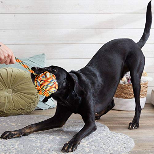 Youngever rope toy with handle and attached ball—durable interactive play