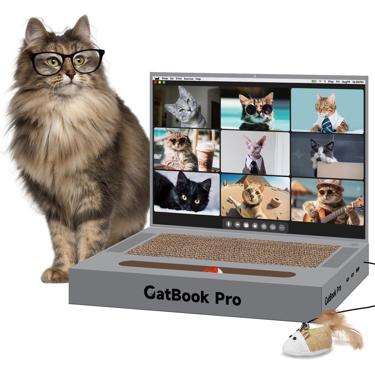 YOUXIFUN cat-laptop-scratcher image shows interactive play on safe cardboard.
