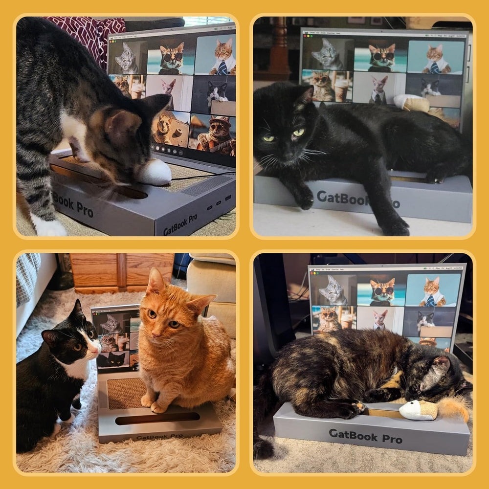 YOUXIFUN cat-play-area image shows a cozy setup for safe scratching.