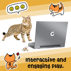 YOUXIFUN mouse-toy image highlights a responsive chase target for paws.