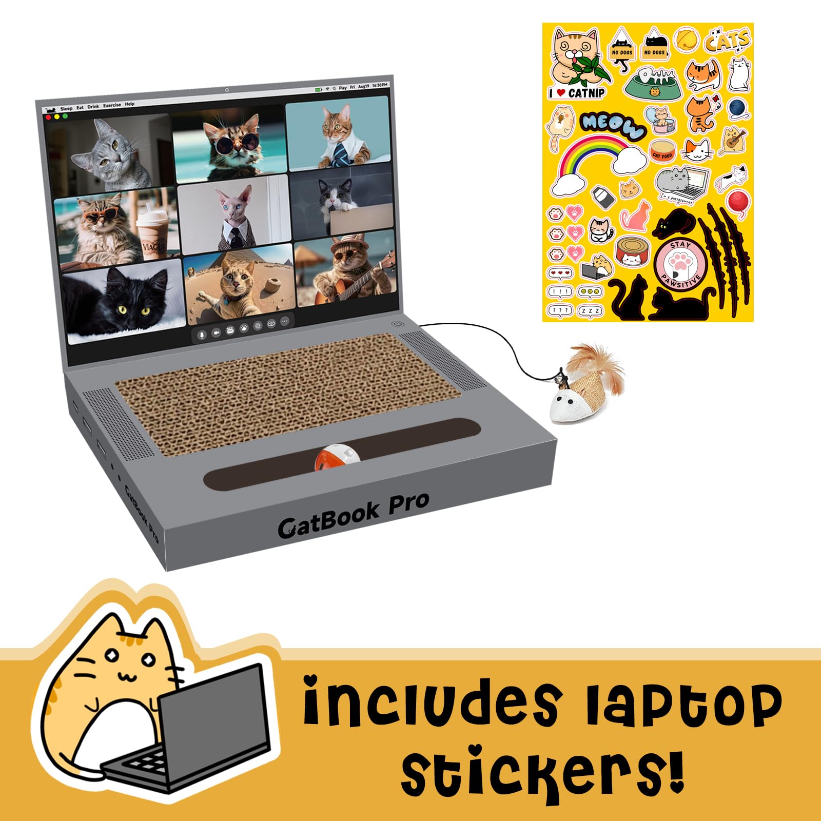 YOUXIFUN video-screen image demonstrates a pretend monitor for curious cats and engagement.