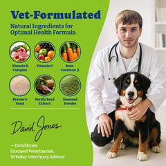 YoYoBay coat-skin support chews promoting healthy skin and comfort.