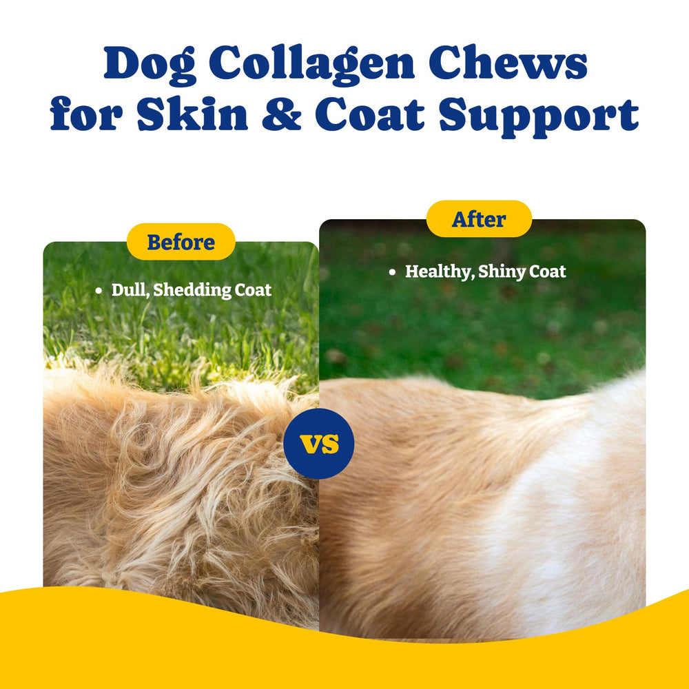 YoYoBay Collagen for Dogs duck pear flavor image invites tasty treat usage