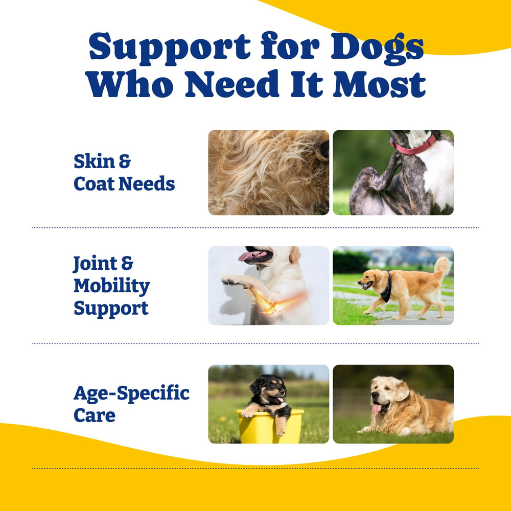 YoYoBay Collagen for Dogs easy-to-feed image demonstrates convenient treat or meal topping