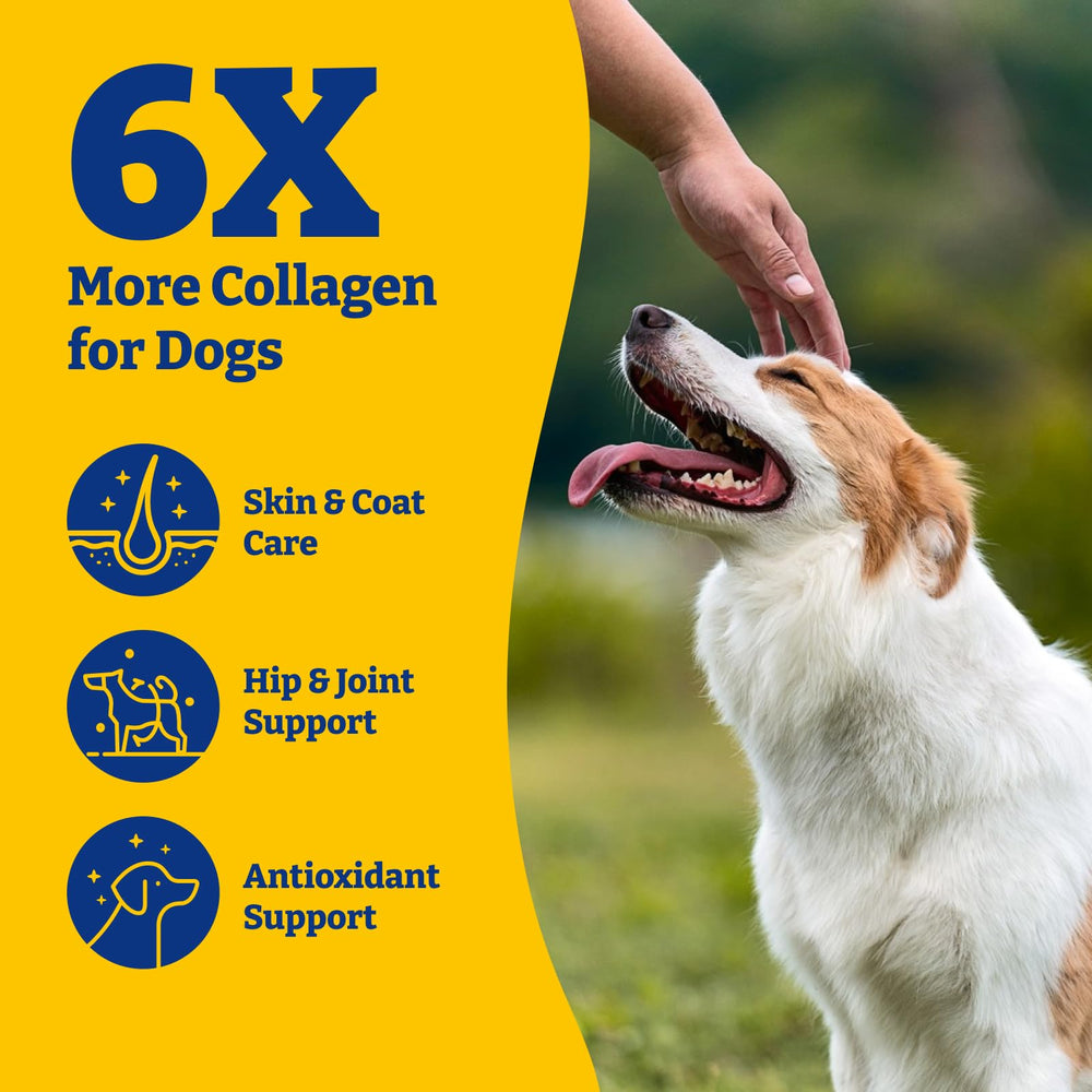 YoYoBay Collagen for Dogs hip joint support image highlights mobility during walks