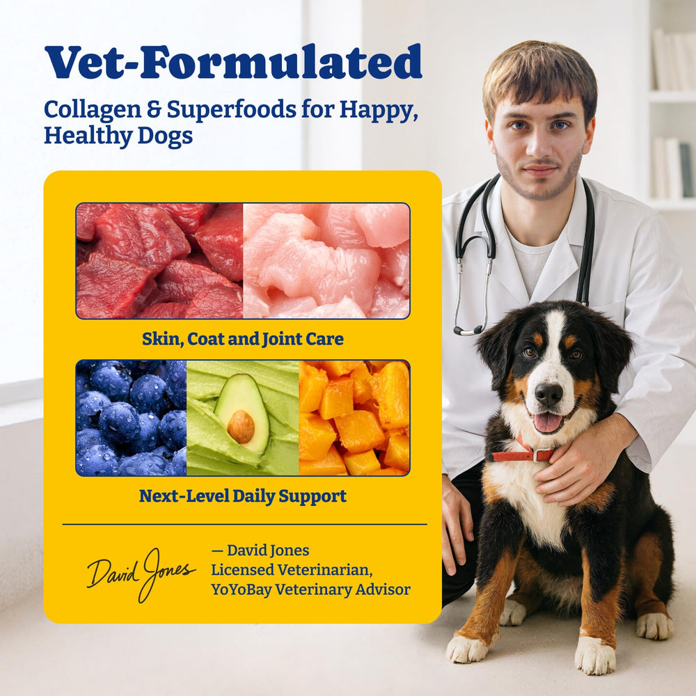YoYoBay Collagen for Dogs superfood ingredients image shows nutrient-rich blend