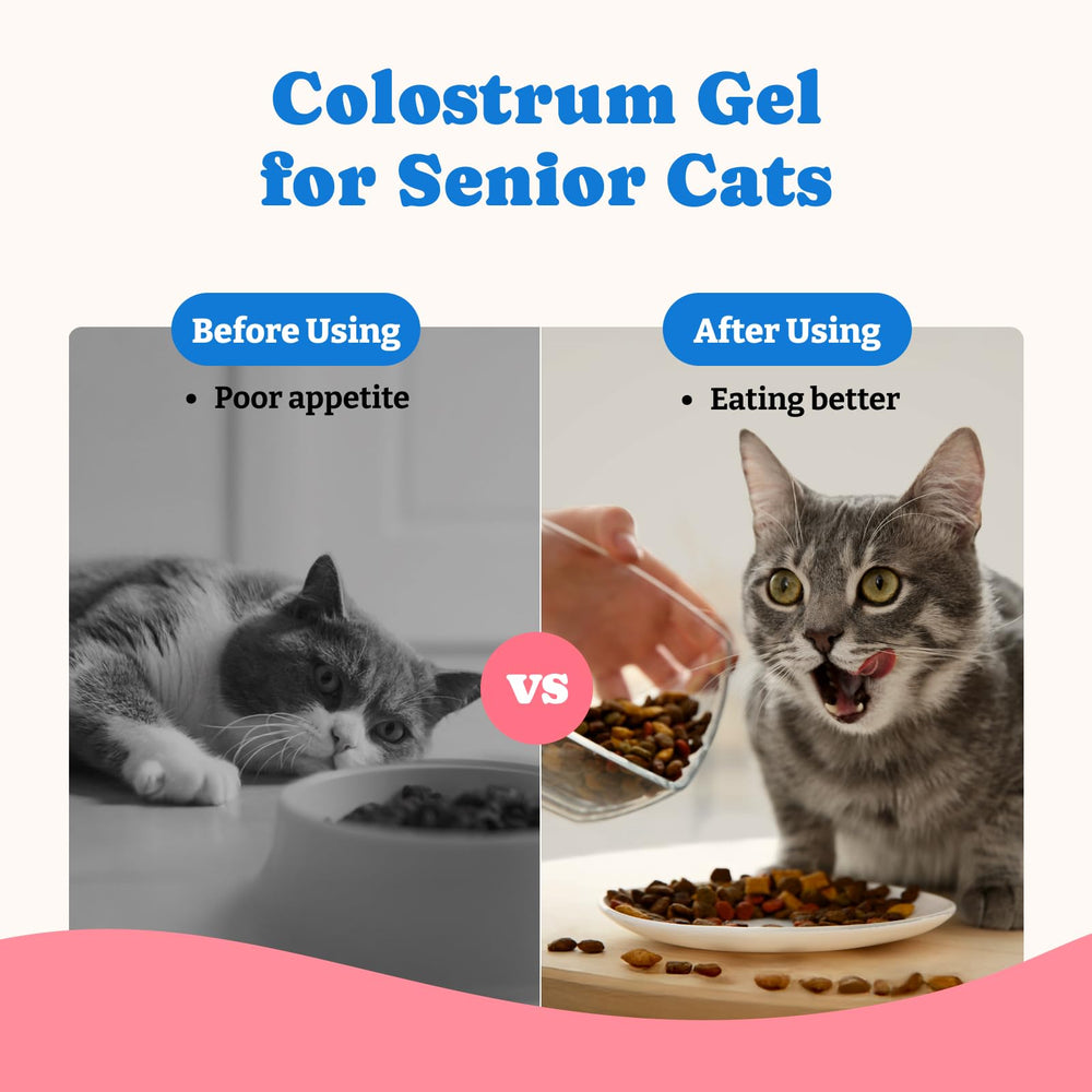 YoYoBay Colostrum Nutritional Gel bottle close-up highlights palatable, energy-boosting formula.