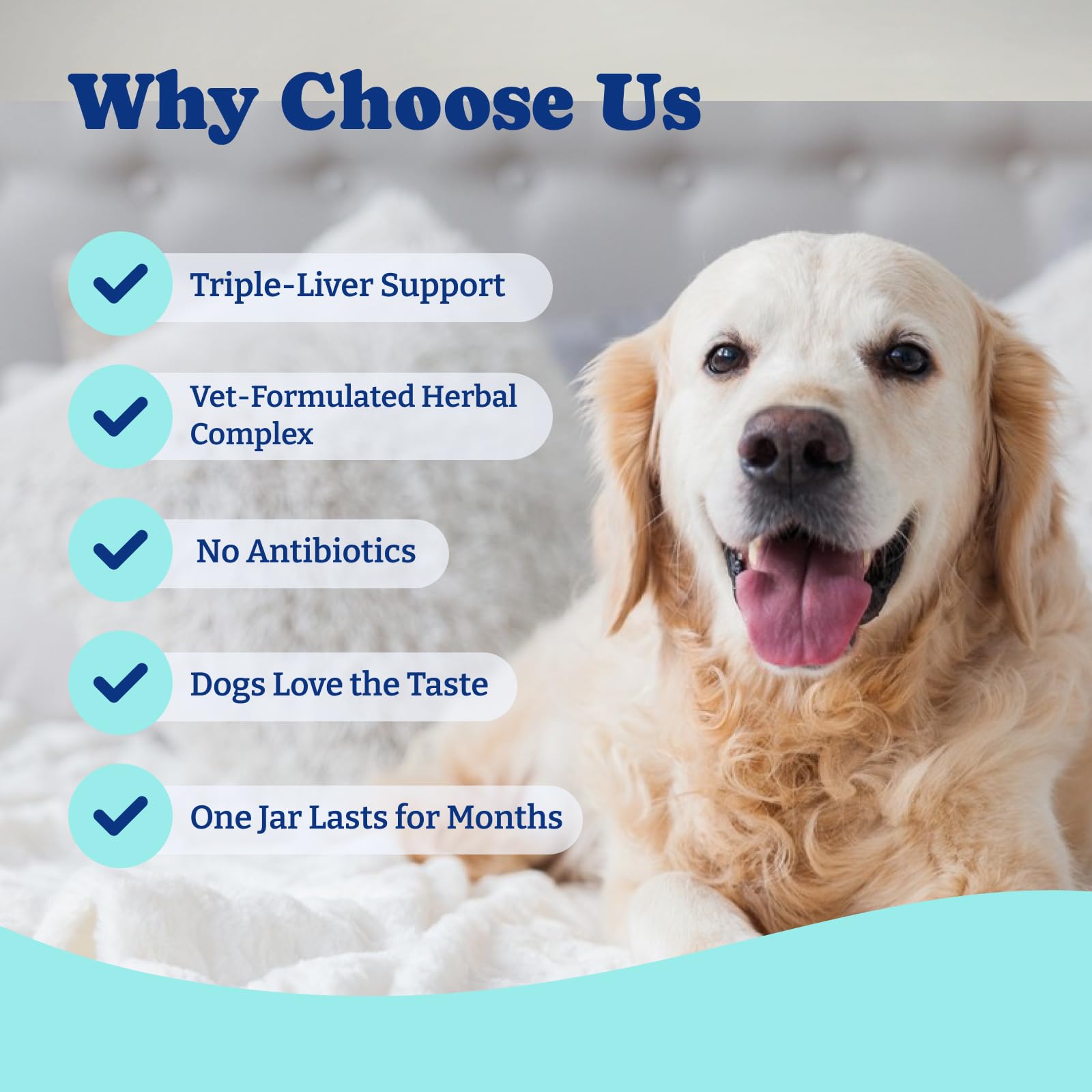 YoYoBay Chews crumbled over dog food for seniors or dental issues.