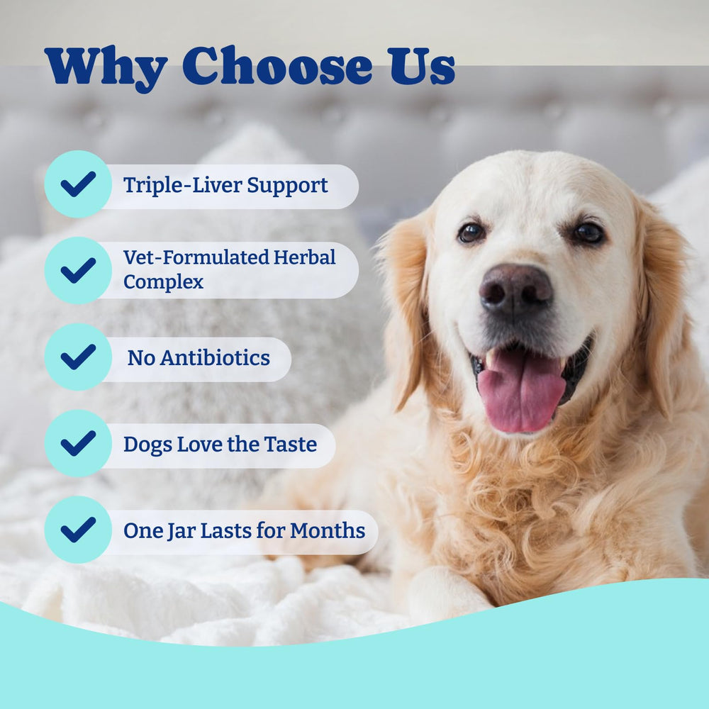 YoYoBay Chews crumbled over dog food for seniors or dental issues.