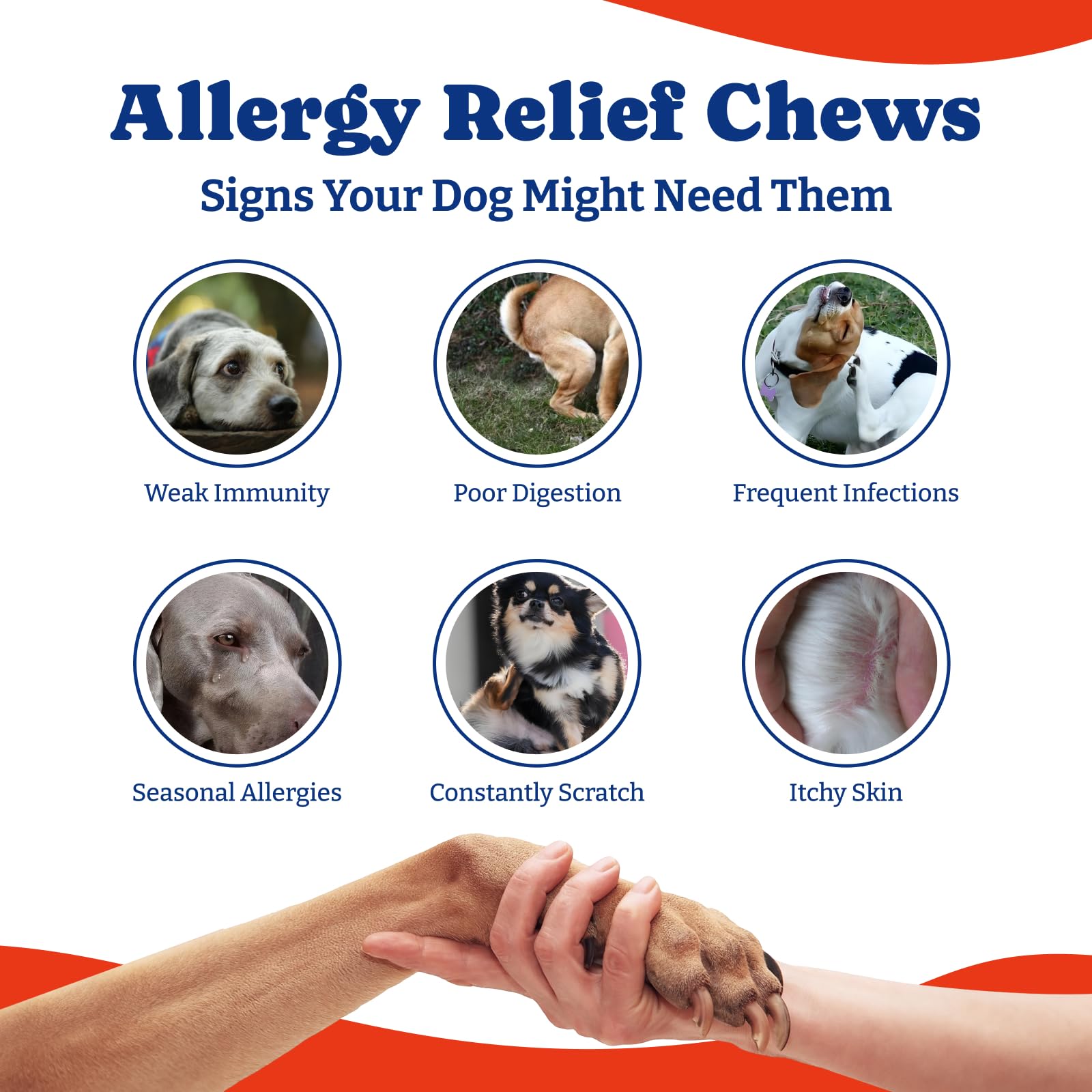 YoYoBay dog allergy relief chews bottle with chews suggests daily routine.