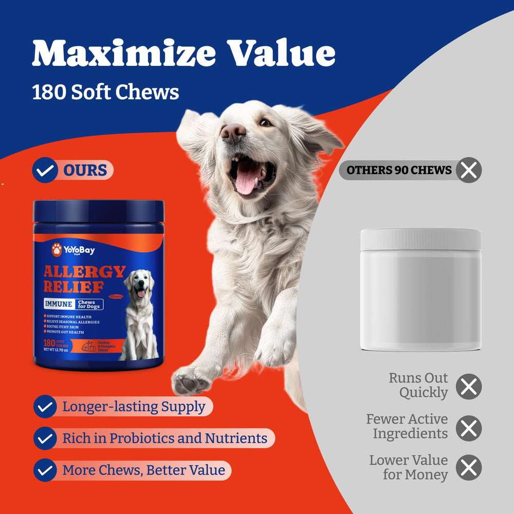 YoYoBay dog allergy relief chews dog relaxing on couch conveys comfort and itch relief.