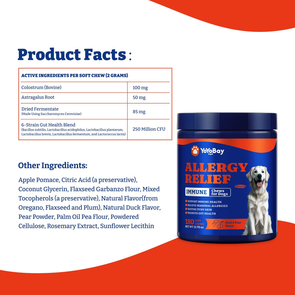 YoYoBay dog allergy relief chews outdoor-walk image conveys proactive wellness during active days.