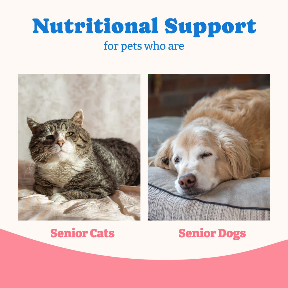 YoYoBay weight-gain support visual emphasizes calorie-dense nutrition for dogs and cats.