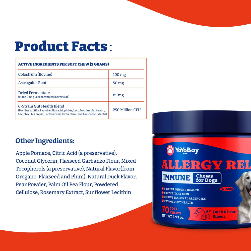 YoYoBay dog enjoying a chew demonstrates palatability and daily routine ease.