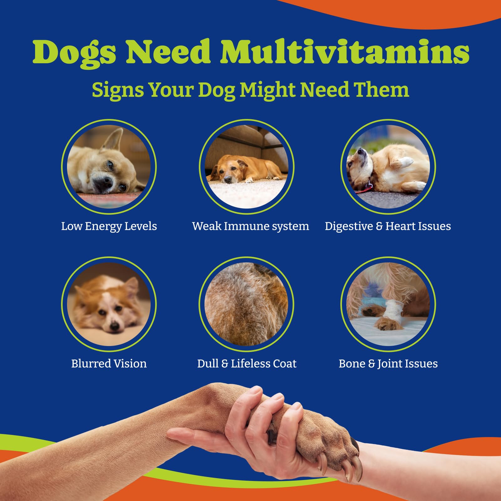 YoYoBay Dog Multivitamin chews bottle top shot suggests convenient daily use