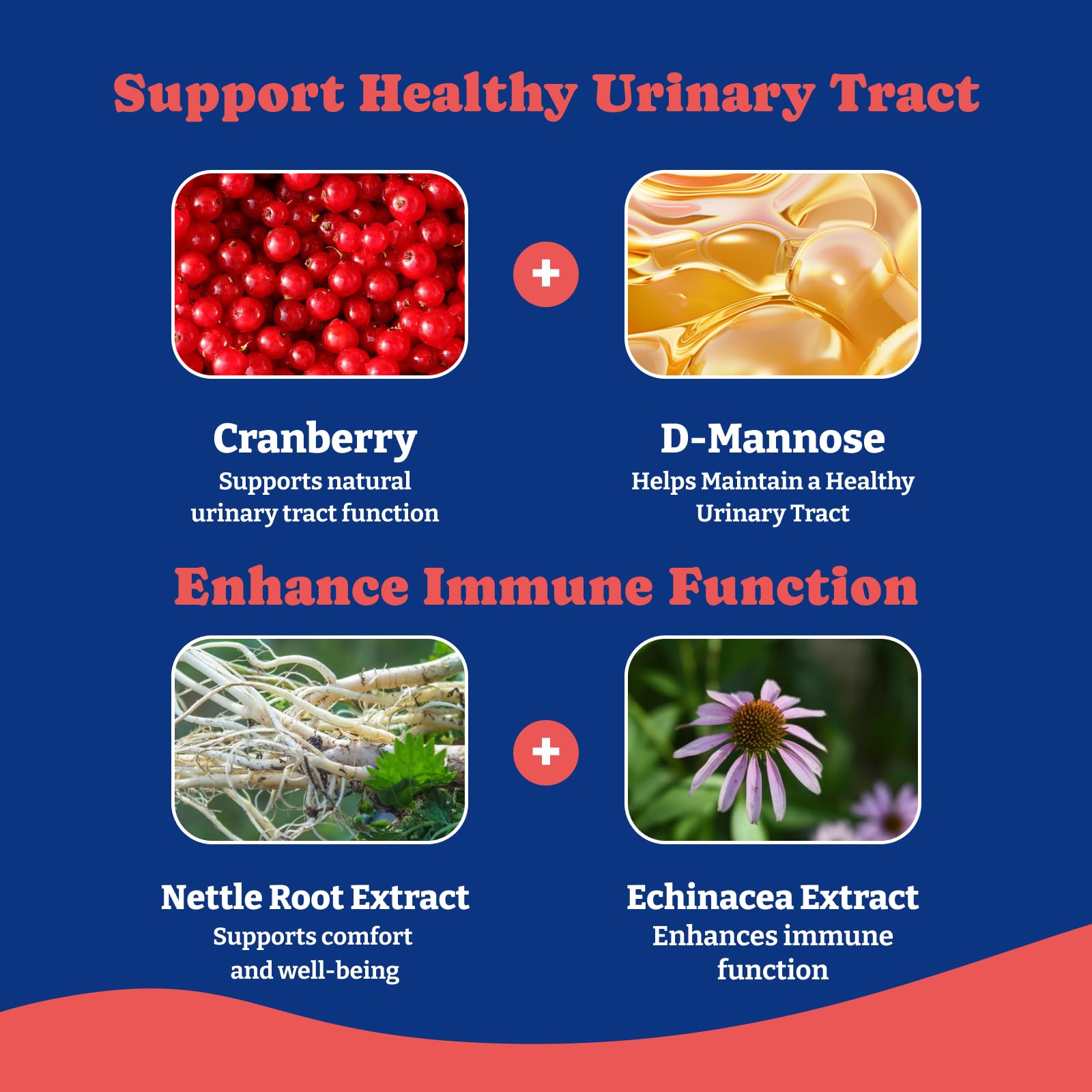 YoYoBay Dog UTI chews 180-count bottle emphasizes long-lasting bladder health support.