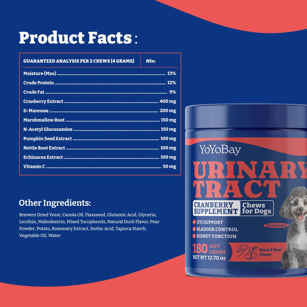 YoYoBay Dog UTI chews health-boost scene conveys daily care for urinary comfort.