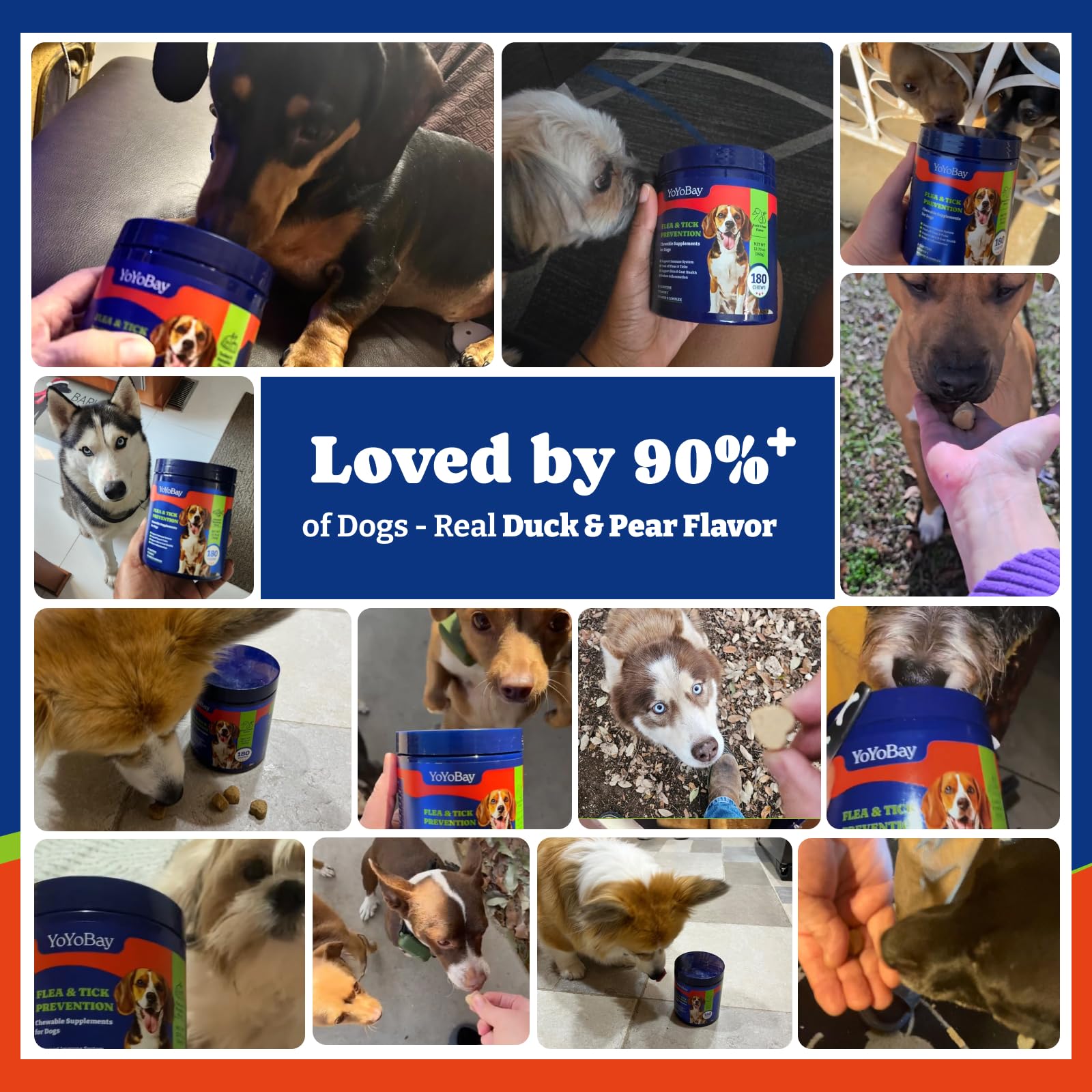 YoYoBay package highlights 180-chew supply for ongoing prevention.