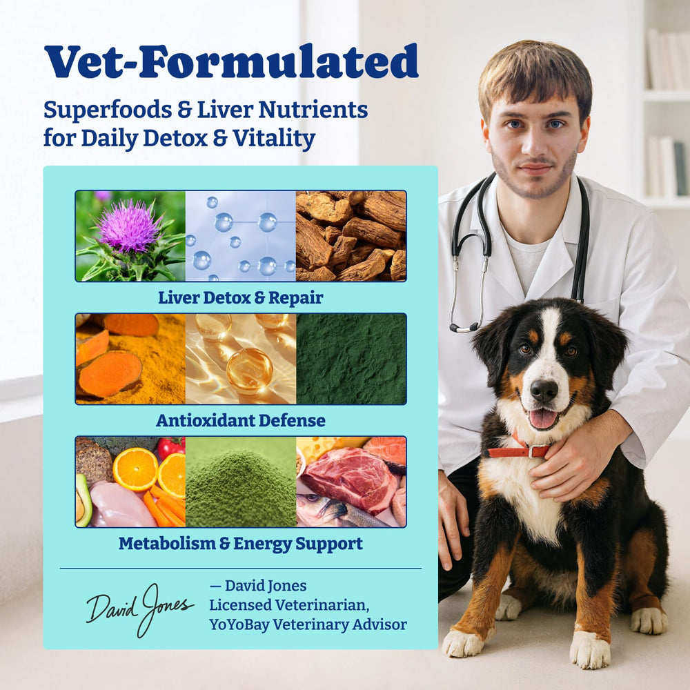YoYoBay NAC and curcumin formula chews for antioxidant support.