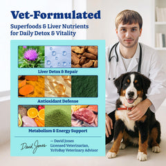 YoYoBay NAC and curcumin formula chews for antioxidant support.