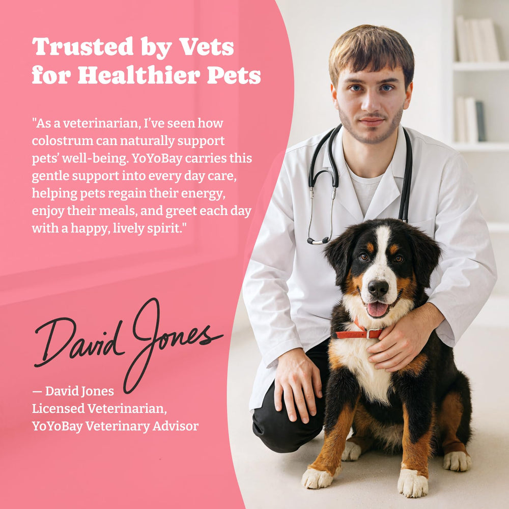 YoYoBay gel pour application demonstrates easy-to-dose serving for dogs and cats.
