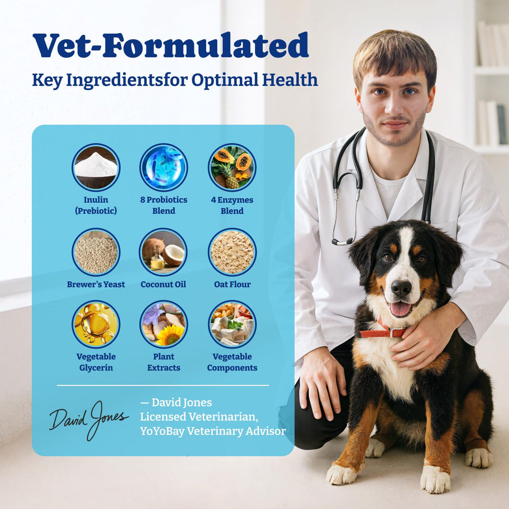 YoYoBay dog chew with turkey pumpkin flavor shown for tasty daily digestion support