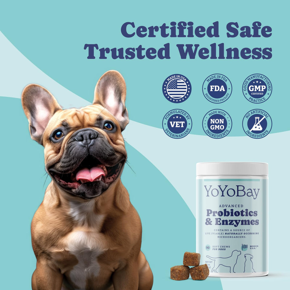YoYoBay flaxseed ingredient highlights skin and coat nourishment.