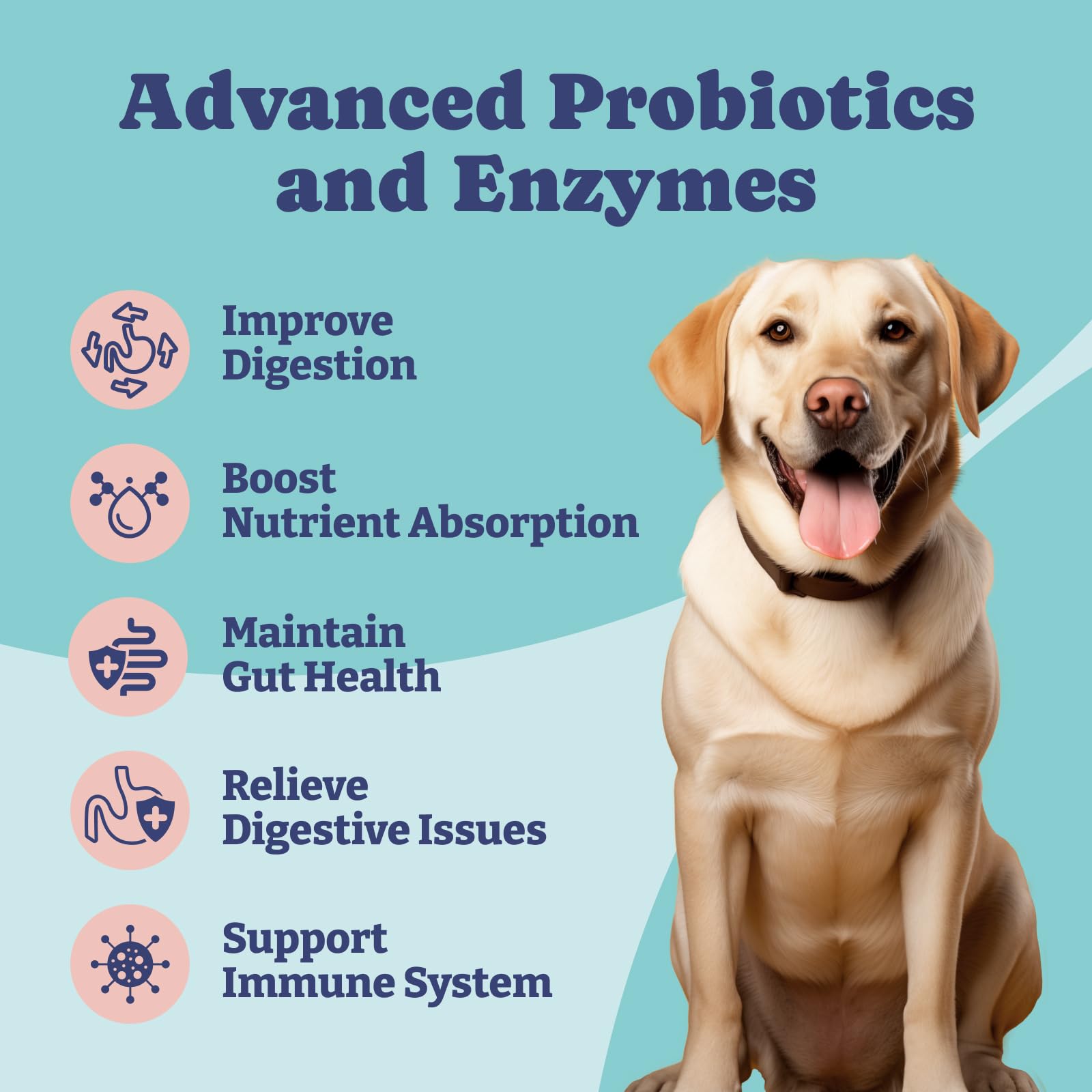 YoYoBay soft chews shown for easy daily digestive balance support.