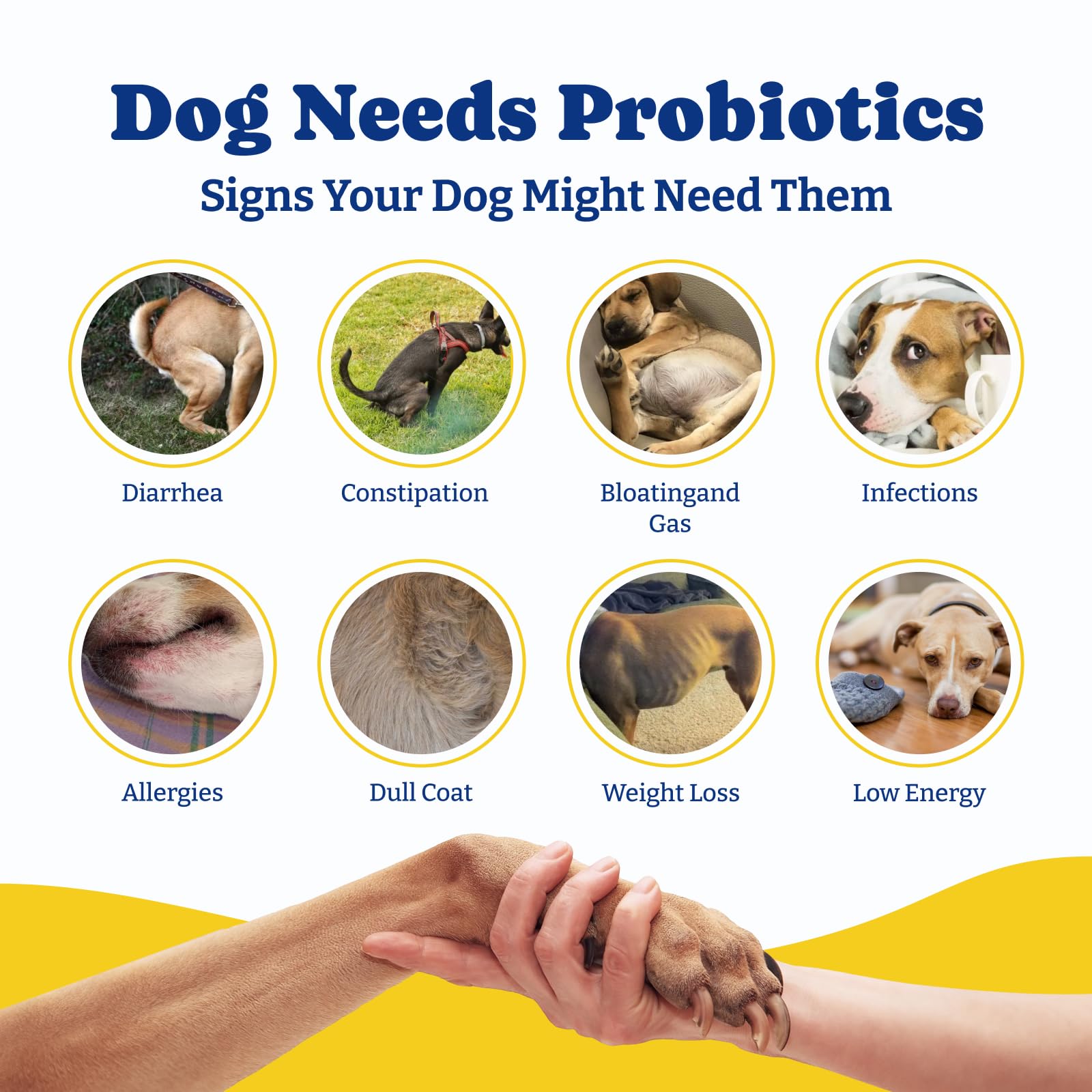 YoYoBay packaging highlights prebiotics and digestive enzymes on the label.