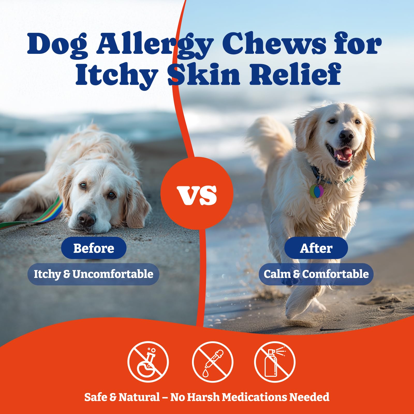 YoYoBay skin and coat health chews on a dog demonstrating a glossy coat and comfort.
