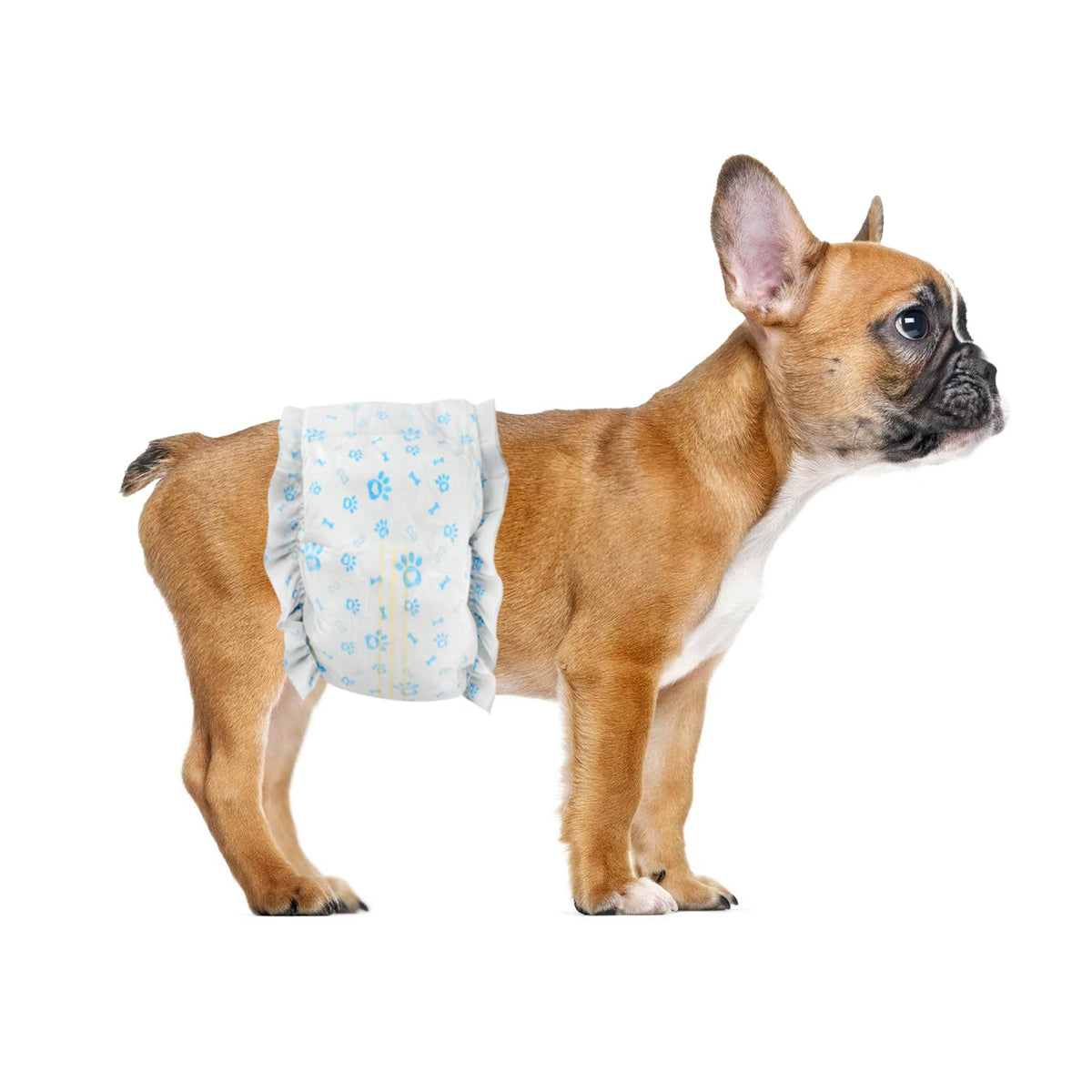 Ypfyed disposable dog diapers male secure-fit for reliable leak protection during daily wear.