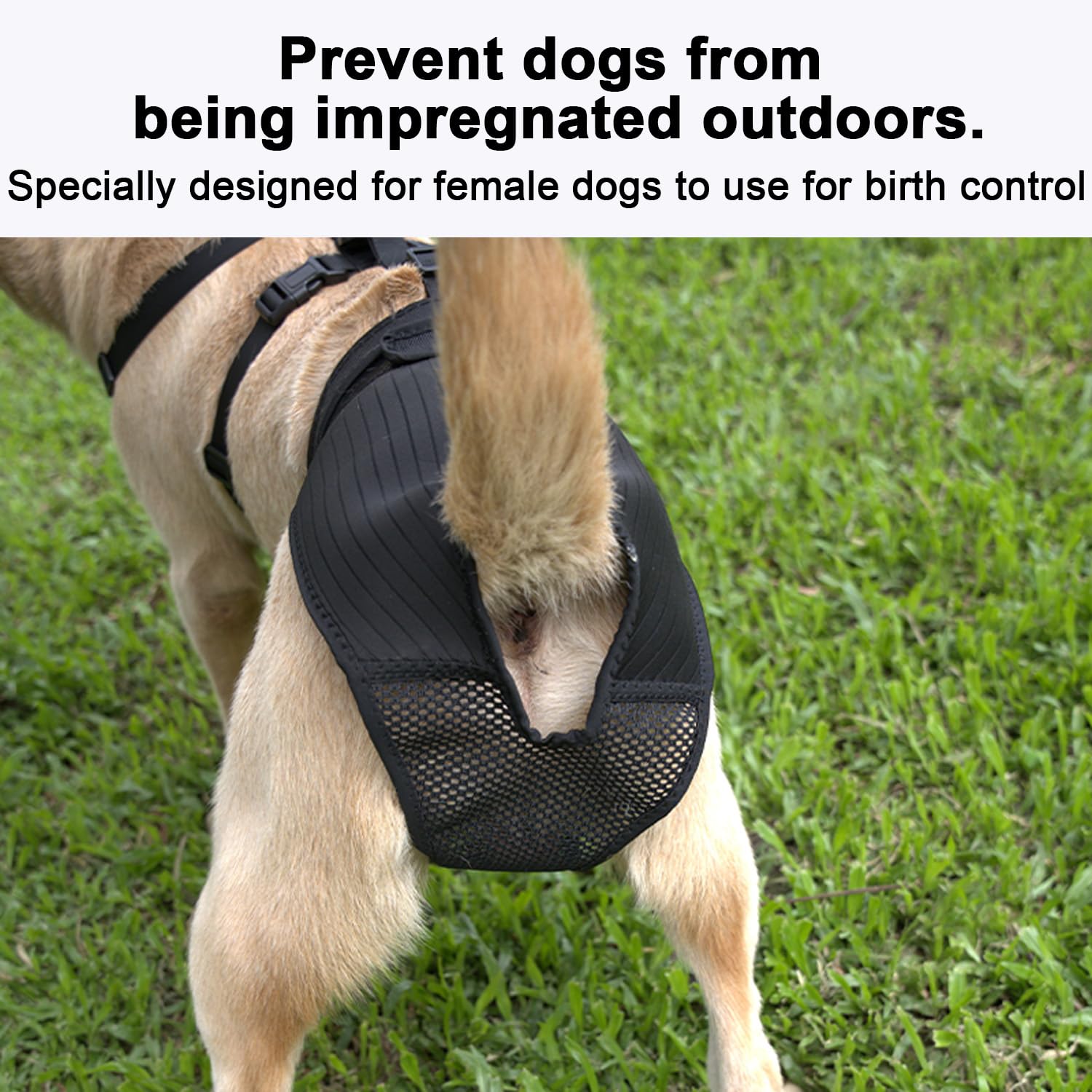 yrenoer dog pants 24-hour comfort supports all-day wear and easy bathroom access