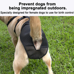 yrenoer dog pants 24-hour comfort supports all-day wear and easy bathroom access